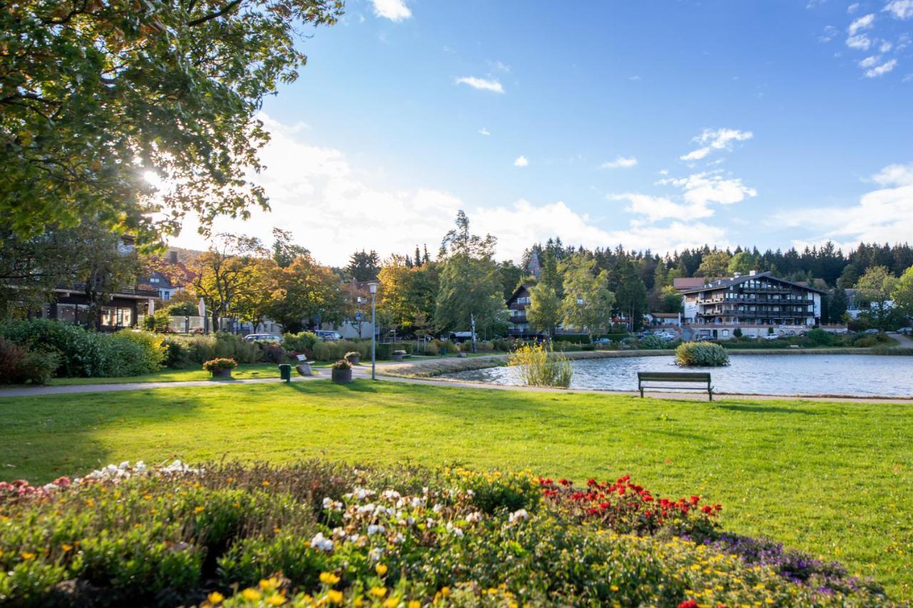 Ferienwohnung Hexenglueck Und Hexenzauber Hahnenklee Goslar Exterior foto